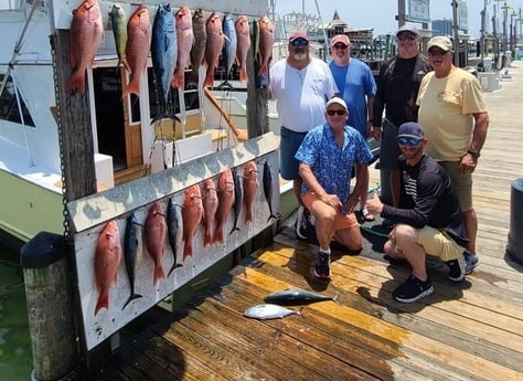 False Albacore, Mahi Mahi, Red Snapper, Scamp Grouper Fishing in Destin, Florida