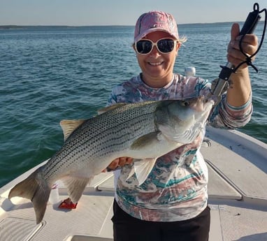 Hybrid Striped Bass fishing in Runaway Bay, Texas