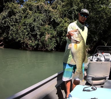 Largemouth Bass fishing in Buda, Texas