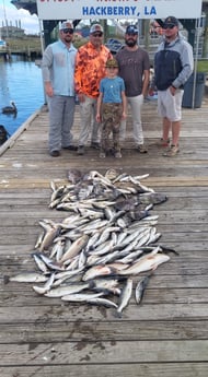 Black Drum, Redfish, Sheepshead, Speckled Trout Fishing in Sulphur, Louisiana