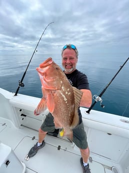 Red Grouper Fishing in Bay Pines, Florida, USA