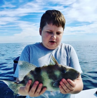 Triggerfish fishing in St. Mary&#039;s, Georgia
