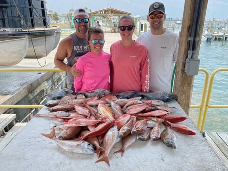 Lane Snapper, Scup, Triggerfish, Vermillion Snapper Fishing in Pensacola, Florida