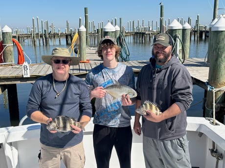 Fishing in Gulf Shores, Alabama