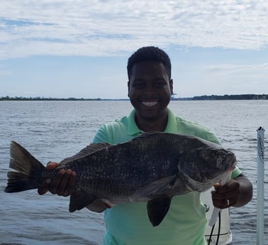 Black Drum fishing in Mount Pleasant, South Carolina