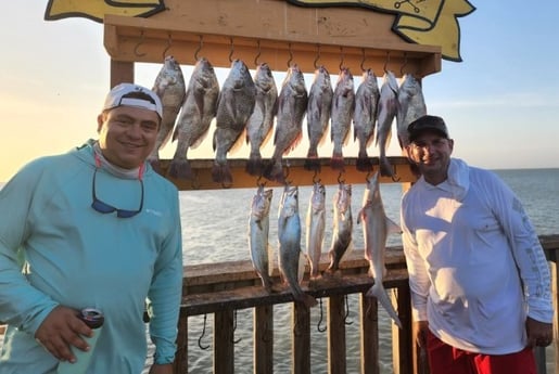 Black Drum, Blacktip Shark, Speckled Trout / Spotted Seatrout Fishing in Port Isabel, Texas