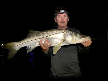 Snook Fishing in Fort Lauderdale, Florida