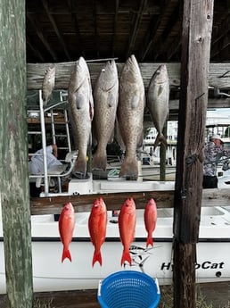 Gag Grouper, Vermillion Snapper Fishing in Destin, Florida