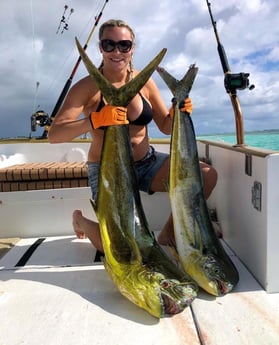 Mahi Mahi / Dorado fishing in Punta Cana, La Altagracia Province