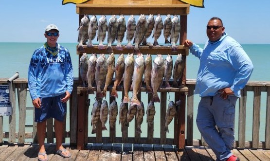 Black Drum, Redfish Fishing in Port Isabel, Texas