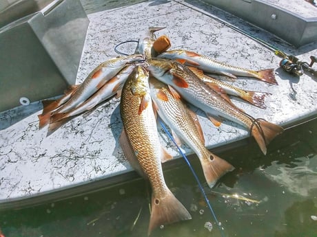 Redfish fishing in Rio Hondo, Texas