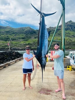 Black Marlin fishing in Kapaʻa, Hawaii