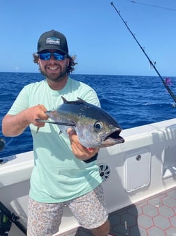 Yellowfin Tuna fishing in Holmes Beach, Florida