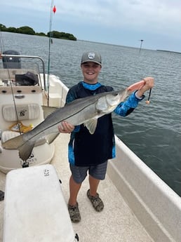 Snook Fishing in Cedar Key, Florida