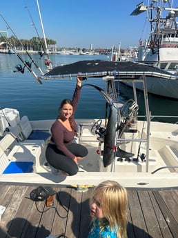 Thresher Shark Fishing in Long Beach, California