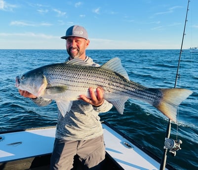 Striped Bass fishing in Montauk, Suffolk County