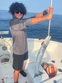 Barracuda Fishing in Mount Pleasant, South Carolina