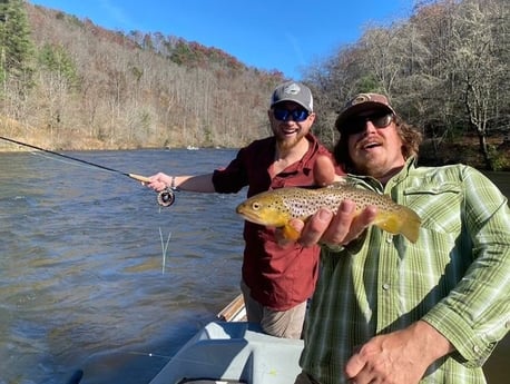 Brown Trout fishing in Leicester, North Carolina