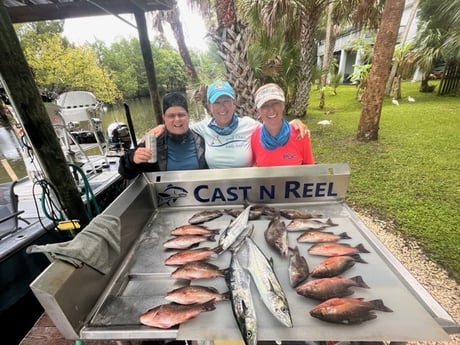 Grunt, Mangrove Snapper, Spanish Mackerel fishing in Crystal River, Florida
