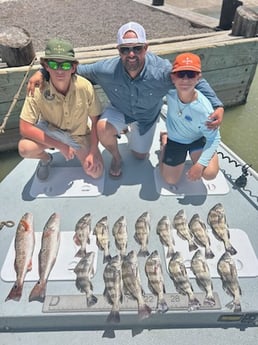Black Drum, Redfish Fishing in Port O&#039;Connor, Texas