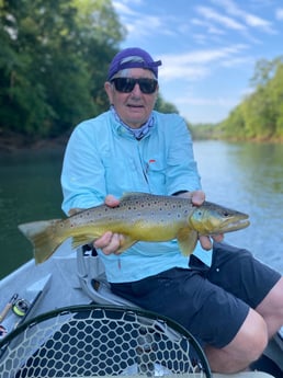 Brown Trout fishing in Roswell, Georgia
