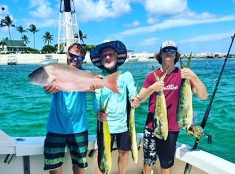 Mahi Mahi, Mutton Snapper Fishing in Pompano Beach, Florida
