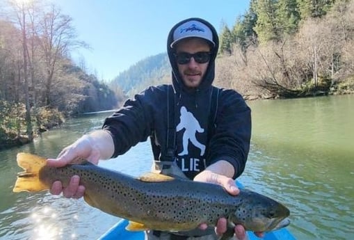 Brown Trout Fishing in