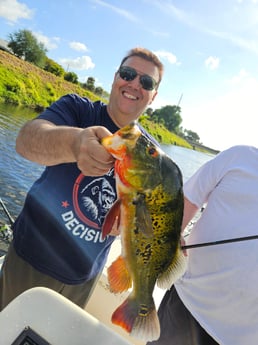 Fishing in Delray Beach, Florida
