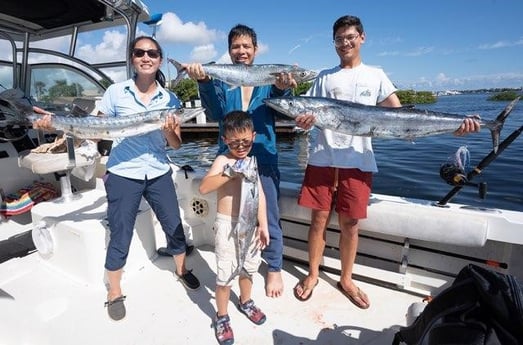 Barracuda, Kingfish, Wahoo Fishing in Boynton Beach, Florida