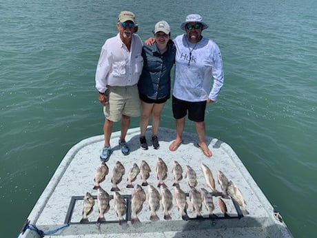 Black Drum, Redfish, Speckled Trout Fishing in Port Isabel, Texas