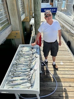 Spanish Mackerel Fishing in Wilmington, North Carolina