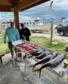 Amberjack, False Albacore, Red Snapper Fishing in Jacksonville, Florida