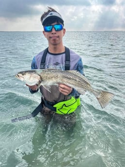 Redfish, Speckled Trout / Spotted Seatrout fishing in Rio Hondo, Texas