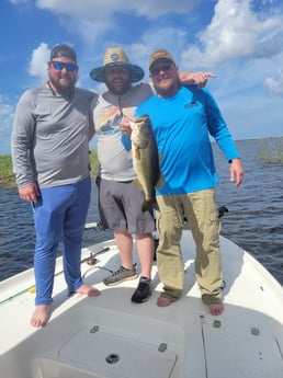 Largemouth Bass Fishing in Clewiston, Florida