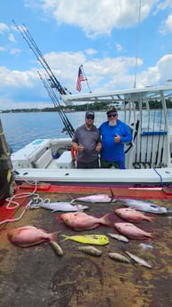 Kingfish, Mahi Mahi, Red Snapper Fishing in