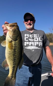 Largemouth Bass fishing in Lake Fork, Texas