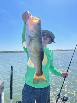 Largemouth Bass fishing in Jonestown, Texas