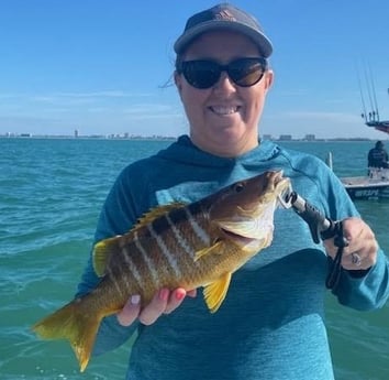 Cubera Snapper Fishing in Sarasota, Florida