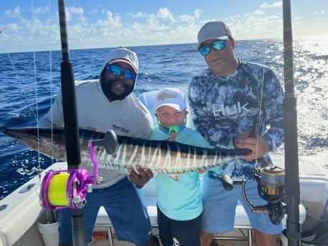 Little Tunny / False Albacore, Wahoo fishing in Fort Lauderdale, Florida