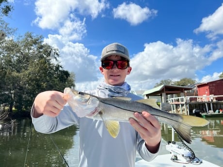 Snook Fishing in Oak Hill, Florida
