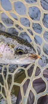 Fishing in Broken Bow, Oklahoma