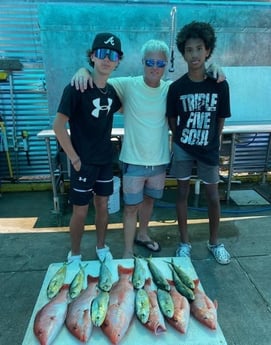 Mahi Mahi, Red Snapper Fishing in Destin, Florida