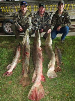 Alligator Gar, Spotted Gar Fishing in Livingston, Texas