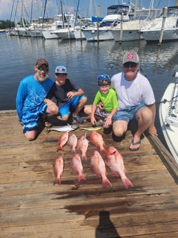 False Albacore, Mahi Mahi, Red Snapper Fishing in Pensacola, Florida
