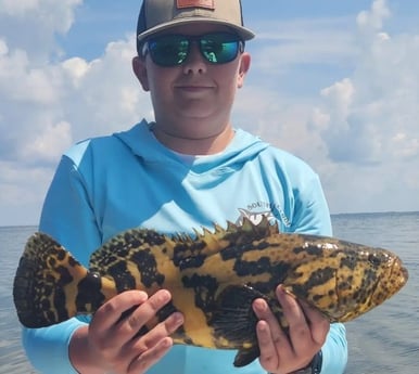 Goliath Grouper Fishing in Islamorada, Florida