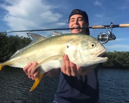 Jack Crevalle Fishing in St. Petersburg, Florida