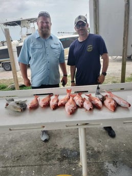 Black Seabass, Triggerfish, Vermillion Snapper Fishing in Jacksonville, Florida