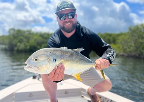 Snook Fishing in Sarasota, Florida