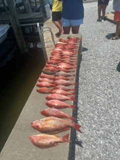 Red Snapper, Vermillion Snapper Fishing in Destin, Florida