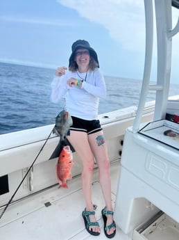 Triggerfish Fishing in Charleston, South Carolina